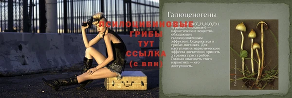 прущий лед Корсаков