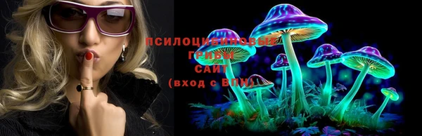 крисы Анжеро-Судженск