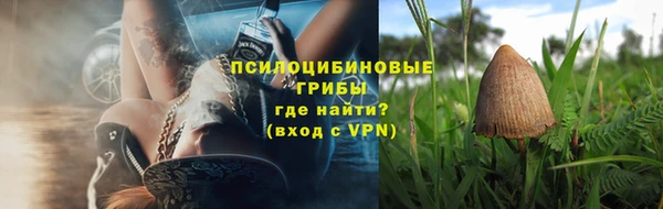 прущие грибы Кодинск