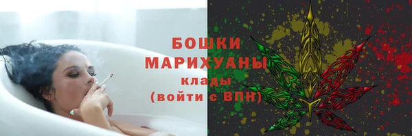 ПСИЛОЦИБИНОВЫЕ ГРИБЫ Козловка