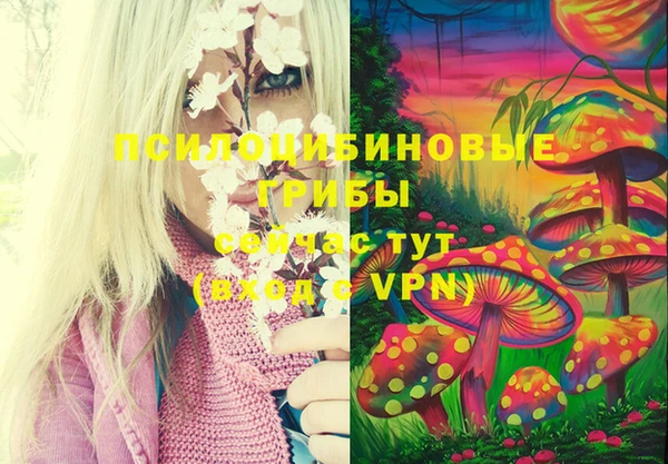 ПСИЛОЦИБИНОВЫЕ ГРИБЫ Козловка