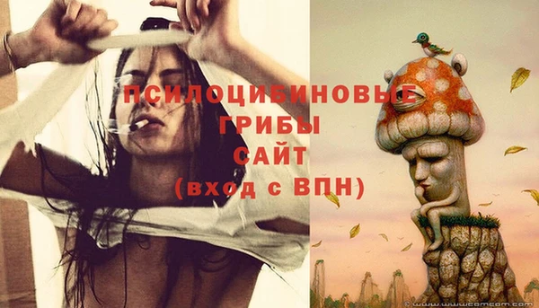 прущие грибы Кодинск