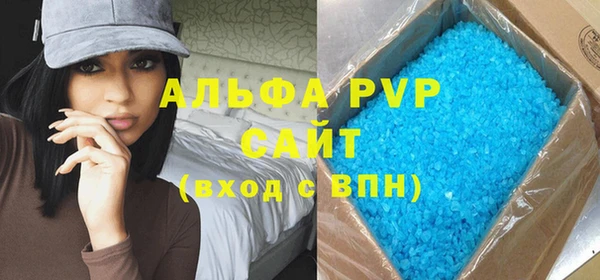 ПСИЛОЦИБИНОВЫЕ ГРИБЫ Козловка