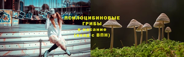 прущие грибы Кодинск